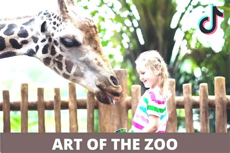 art of zoo hd|Art of zoo